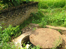 chuyen kho tin ve loi nguyen yem bua gieng cho ba co