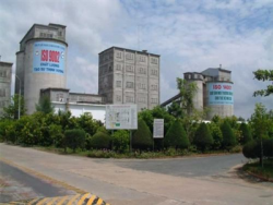 xu ly sau thanh tra tai tong cong ty vicem viet nam som chan chinh khong de sai pham chong sai pham