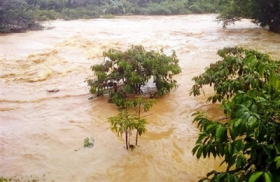 thua thien hue de bao vo 1 nguoi chet vi mua lu