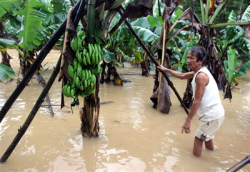 quang nam thiet hai gan 500 ti dong sau lu