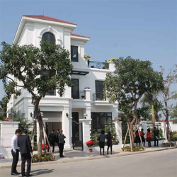 brg coastal city truc tiep cam nhan suc nong tu du an biet thu nghi duong dang cap ven bien do son