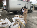 thanh hoa 300kg thuc pham ban chuan bi len ban nhau bi bat giu