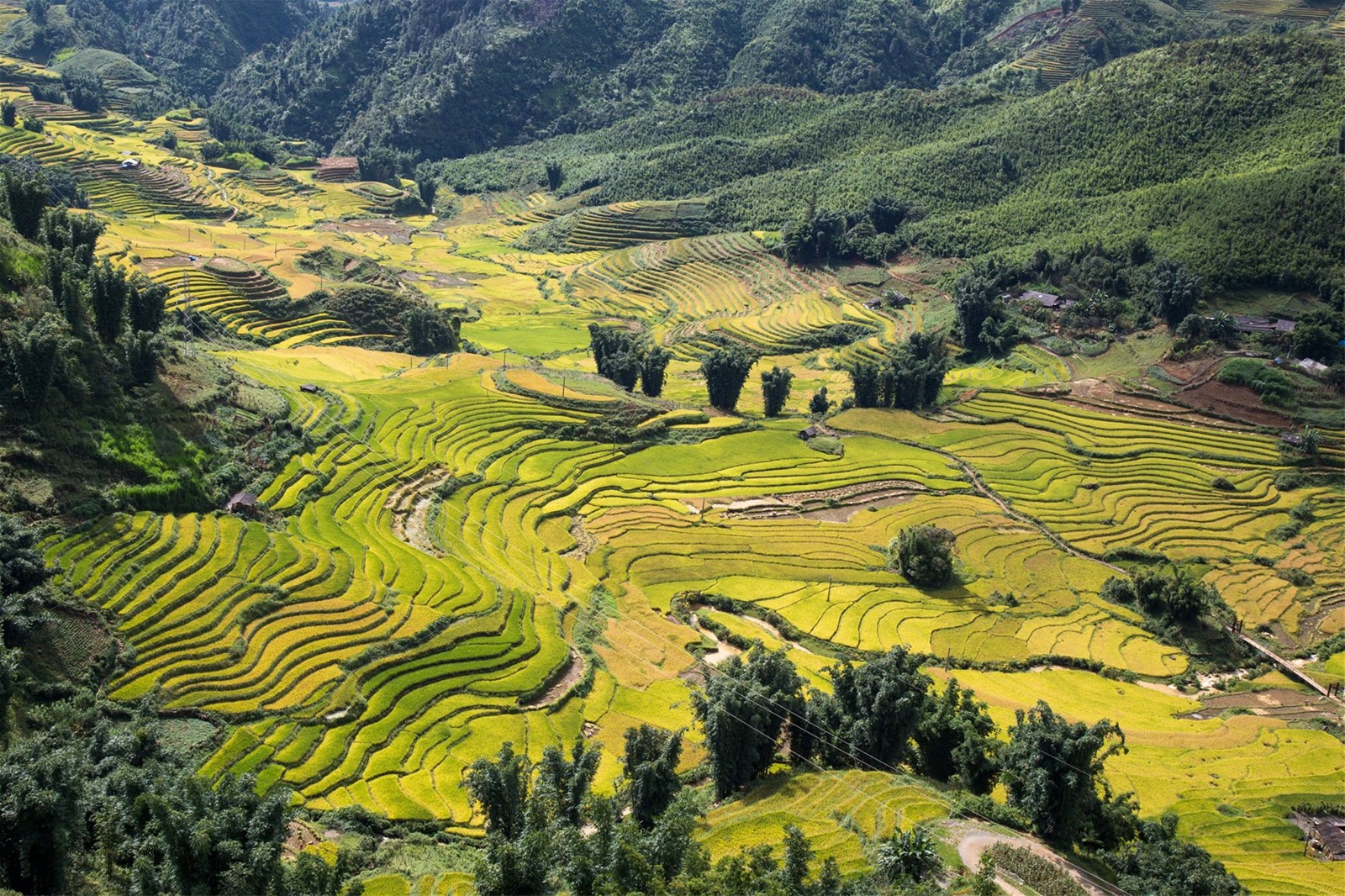 Điều gì khiến Hoàng Liên Sơn trở thành Top 28 Điểm đến hấp dẫn nhất thế giới năm 2019
