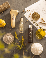 nhung su tuong dong giua phu nu viet va phu nu israel chinh la ly do cho su co mat cua san pham nay tai thi truong viet