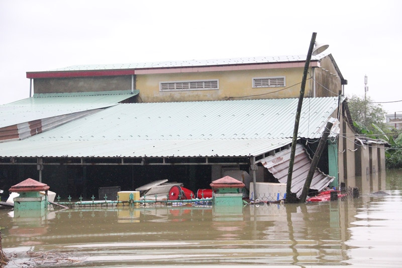 Quảng Nam: Hơn 1.800 hộ dân phải sơ tán do mưa lớn