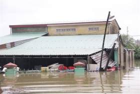 quang nam hon 1800 ho dan phai so tan do mua lon