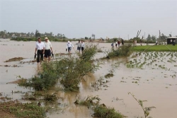 mua lu tai mien trung thiet hai 12000 ha lua va hoa mau