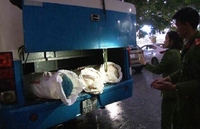 Huế: Bắt giữ hàng trăm kg mỡ và da lợn bốc mùi hôi thối