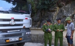 thanh hoa bat giu va tieu huy 240 con lon nghi bi benh lo mom long