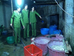 thanh hoa phat hien co so dung hoa chat tay rua noi tang