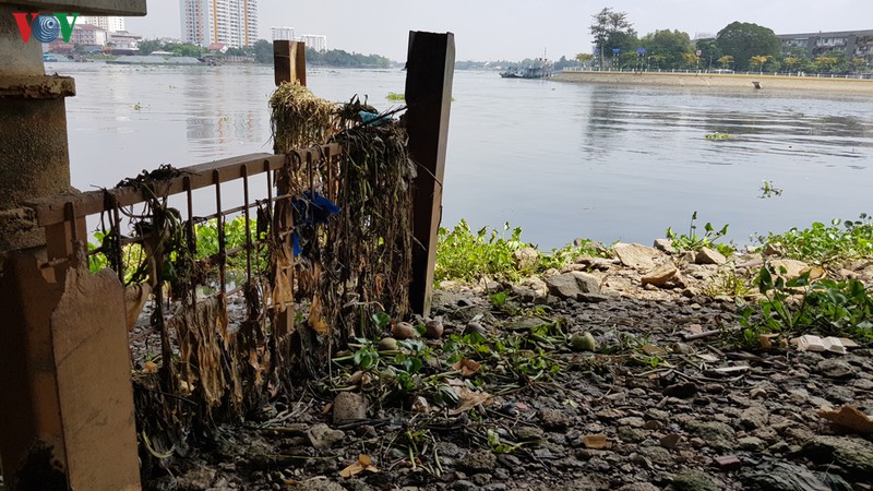 Nguy cơ rác thải nhựa bức tử sông Sài Gòn