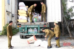 ha tinh bat giu xe container cho hon 10 tan noi tang dong vat boc mui hoi thoi
