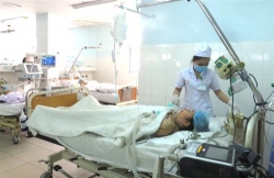 bi ngo doc nang hon me sau do an oc bun bong
