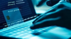 ibm va interpol canh bao toi pham co the tan cong viec phan phoi vaccine