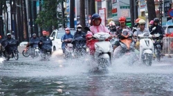 mua lon dien rong tai cac tinh nam trung bo va nam bo