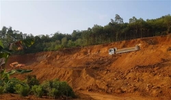 thanh hoa dinh chi cong tac chu tich xa do de xay ra khai thac dat trai phep