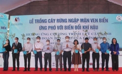 vi mot viet nam xanh