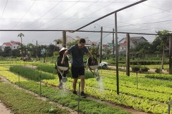 quang nam phat trien trai nghiem du lich xanh tai lang que