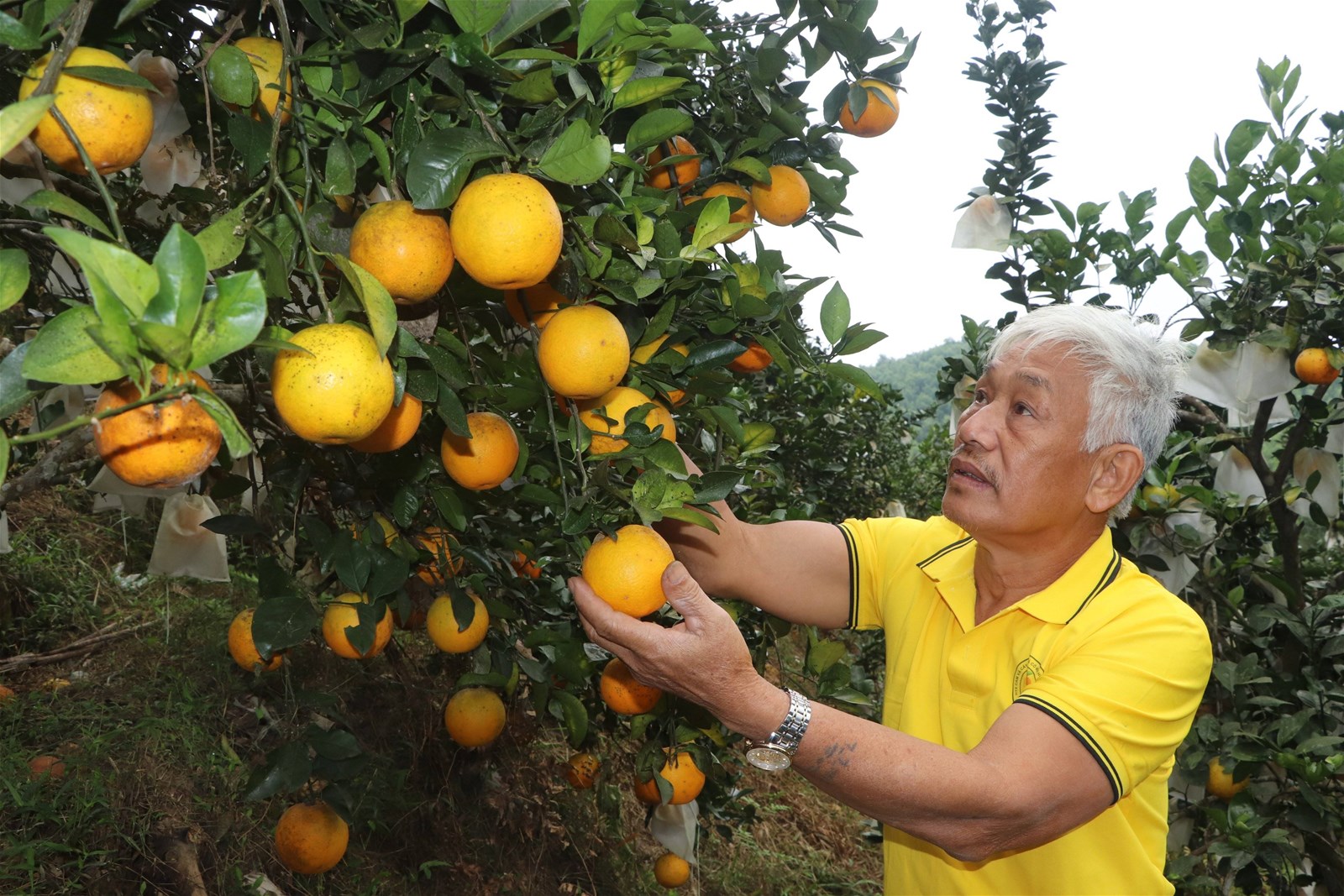 Vũ Quang - Hà Tĩnh: Huyện miền núi đầu tiên trên cả nước đạt chuẩn nông thôn mới