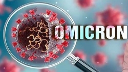 giai trinh tu gen 28 mau xet nghiem nghi lien quan den nhiem the omicron