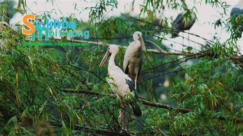 Việt Nam là một trong những quốc gia đi đầu về bảo tồn đa dạng sinh học