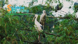 Việt Nam là một trong những quốc gia đi đầu về bảo tồn đa dạng sinh học