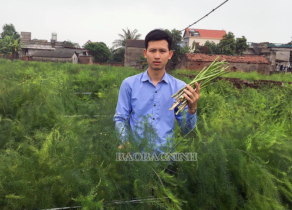 Lan tỏa phong trào nông dân sản xuất, kinh doanh giỏi trên địa bàn tỉnh Bắc Ninh