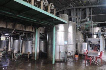 Quảng Bình: Nhà máy sản xuất tinh bột sắn người bạn đồng hành cùng nhà nông