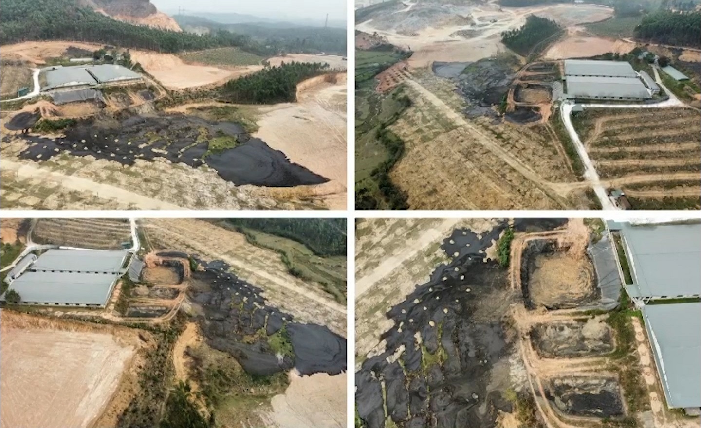 Bình Xuyên (Vĩnh Phúc): Trang trại lợn xây dựng trái phép gây ô nhiễm môi trường nghiêm trọng