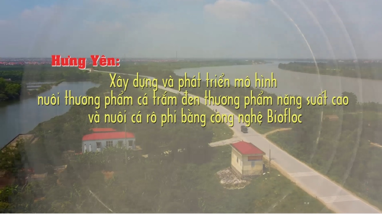 Xây dựng và phát triển mô hình nuôi thương phẩm cá trắm đen thương phẩm năng xuất cao và nuôi cá rô phi bằng công nghệ Biofloc